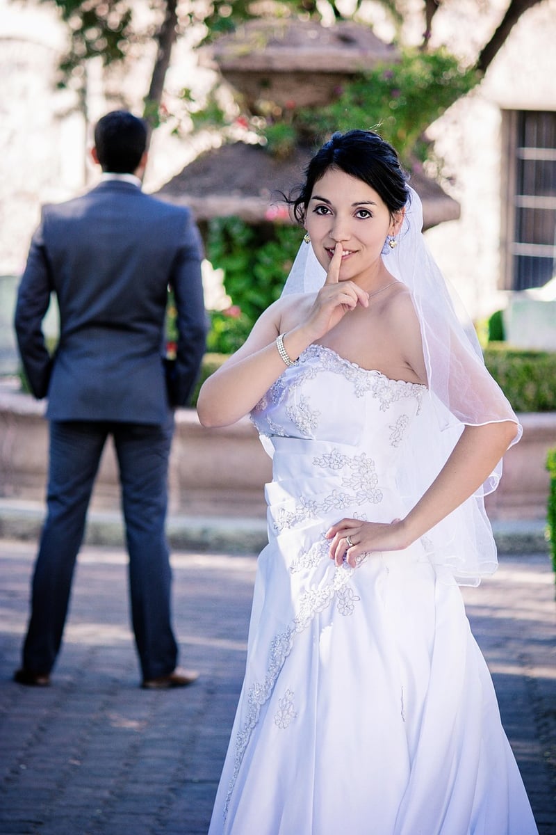Mystical Moonlit Wedding Dress